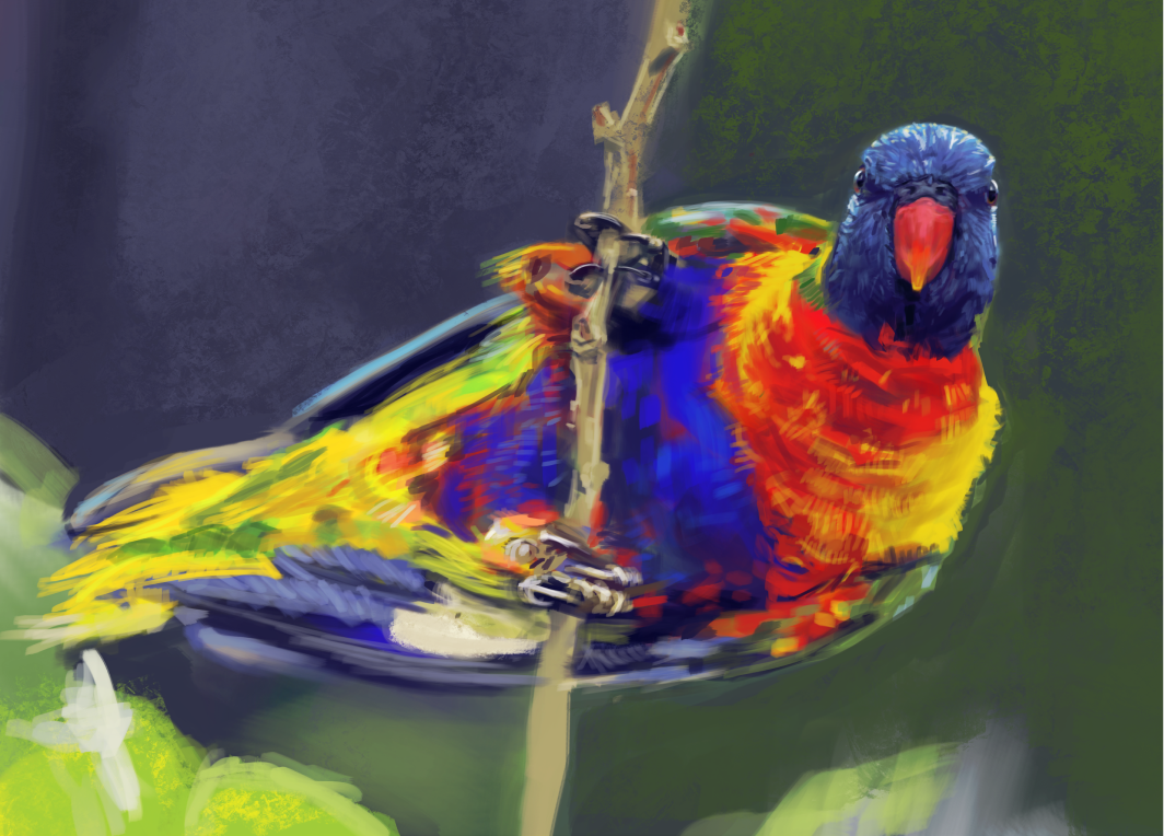 Some Okay Birds