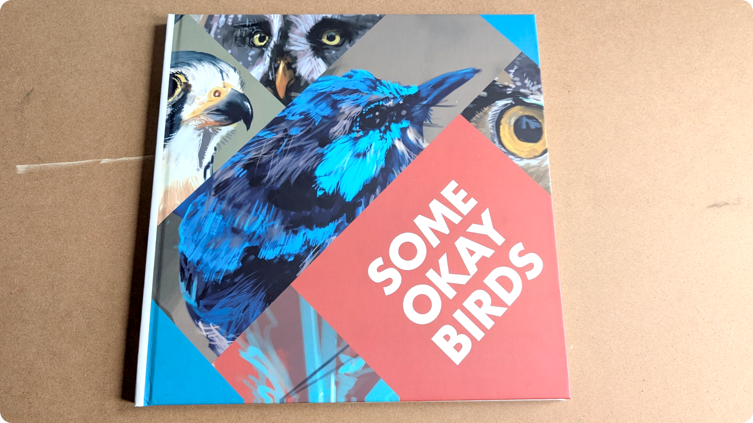 Some Okay Birds book cover